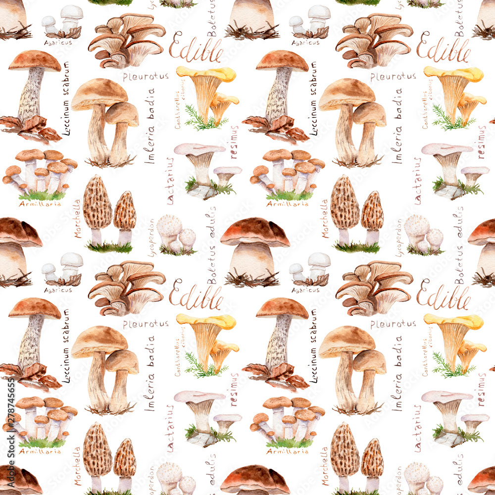 Obraz watercolor drawings of forest mushrooms - seamless pattern
