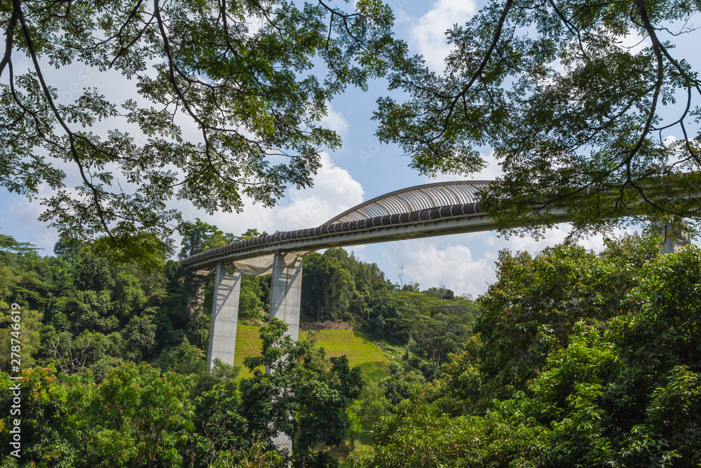 Fototapeta premium Henderson Waves bridge