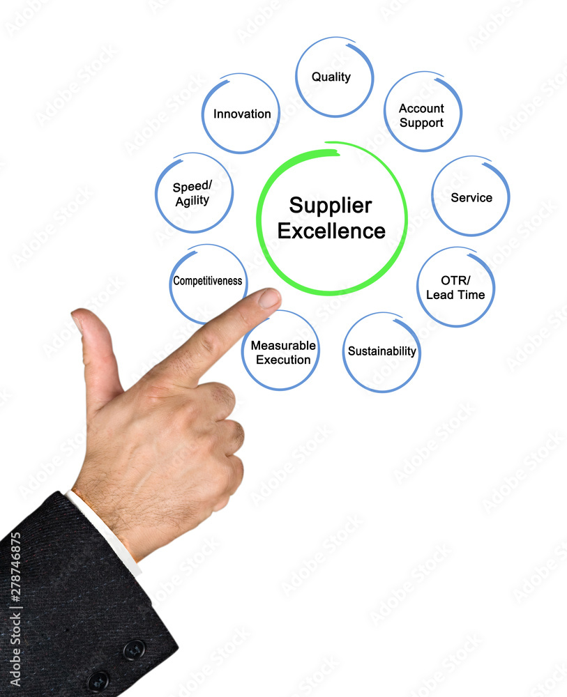 Nine Components of Supplier Excellence Nine Components of Supplier Excellence