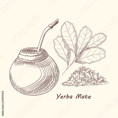 Yerba mate drink. Traditional South American drink. Calabash, bombilla