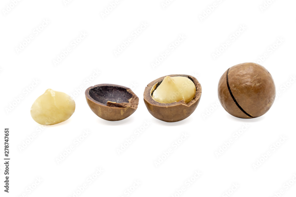 Macadamia nut isolated on white background. Macadamia nut isolated on white background.