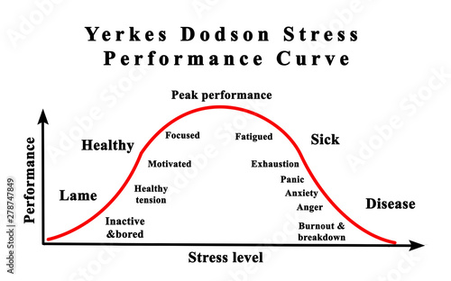 Yerkes Dodson Stress Performance Curve.