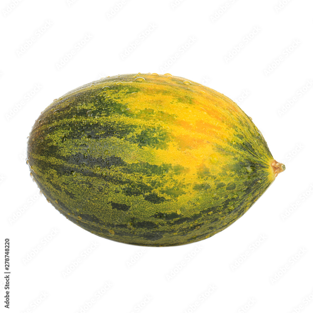 single fresh piel de sapo (SANTA CLAUS) melon isoalted on white background single fresh piel de sapo (SANTA CLAUS) melon isoalted on white background