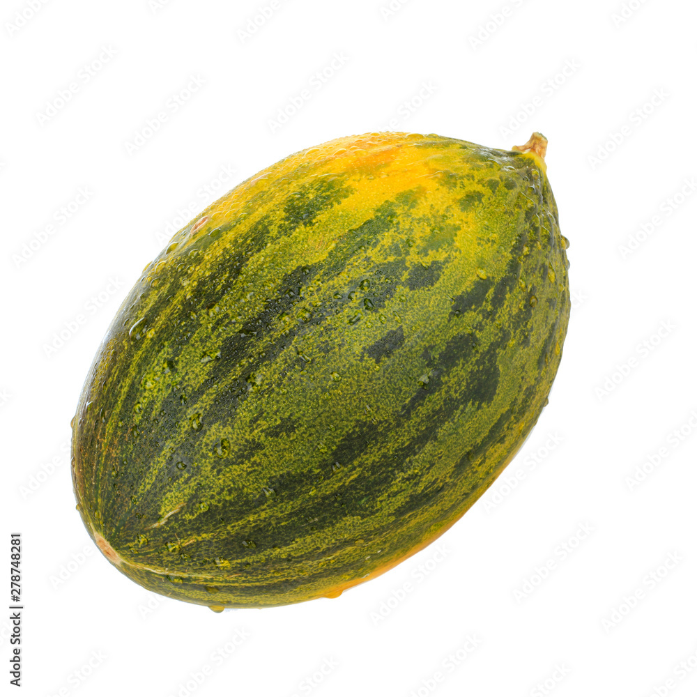 single fresh piel de sapo (SANTA CLAUS) melon isoalted on white background