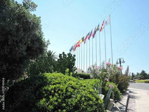 national flags of various countries flying in the wind. Flags of countries near the international hotel
