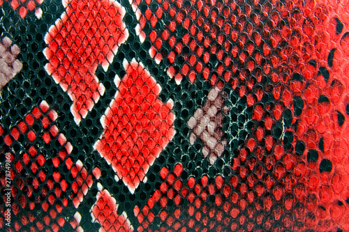 Photos snake skin background