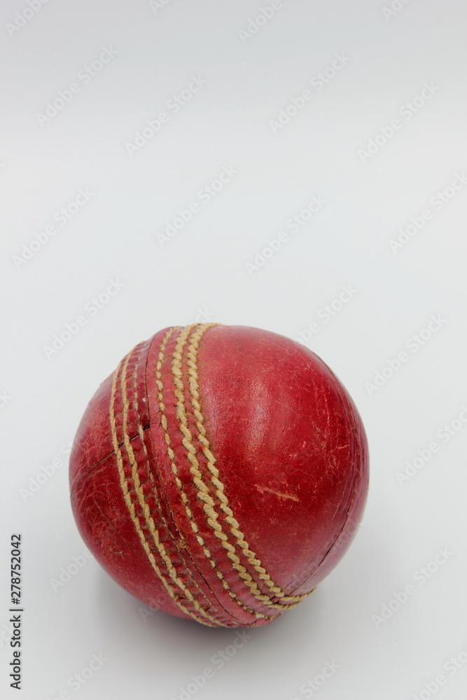 cricket ball cricket ball