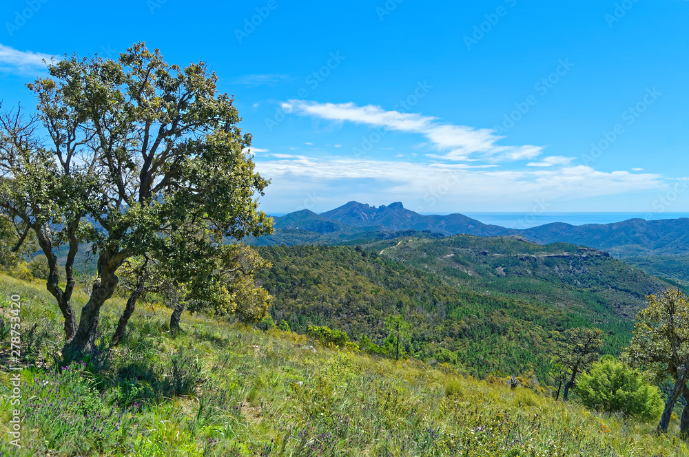 View of Esterel mountains on the mediterranean coast in french riviera