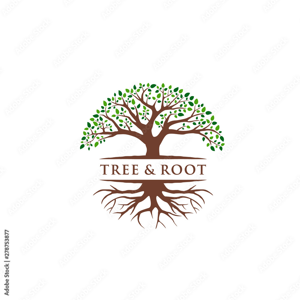 Obraz premium Vector Abstract Tree And Root Logo Design Inspiration