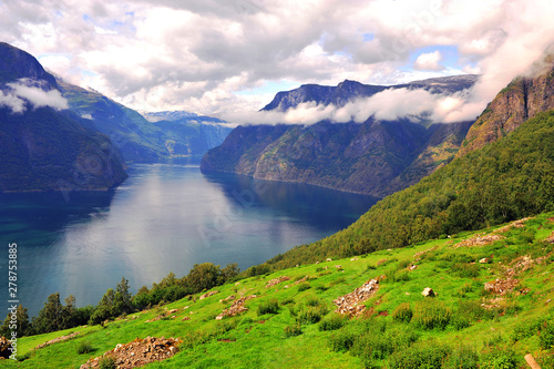 Scenic view of a fjord in Norway on summer