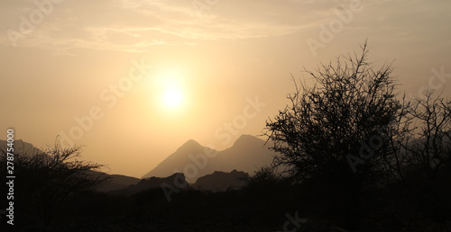  trees with the sunset in Oman mountains photo