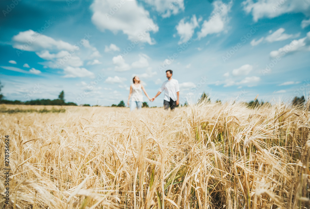 Couple holding hands while walking through field against the background of the blue sky. Selective focus on wheat ears