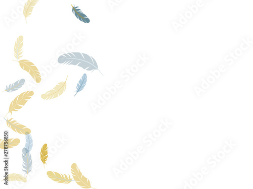 Fluffy twirled feathers on white design.