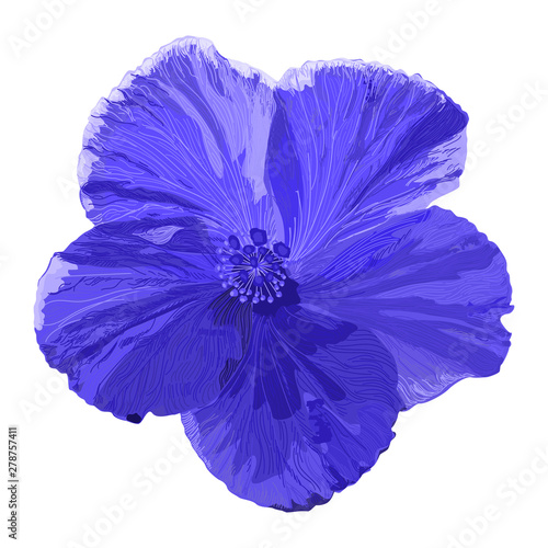Beautiful  hibiscus flower. Vector illustration. EPS 10