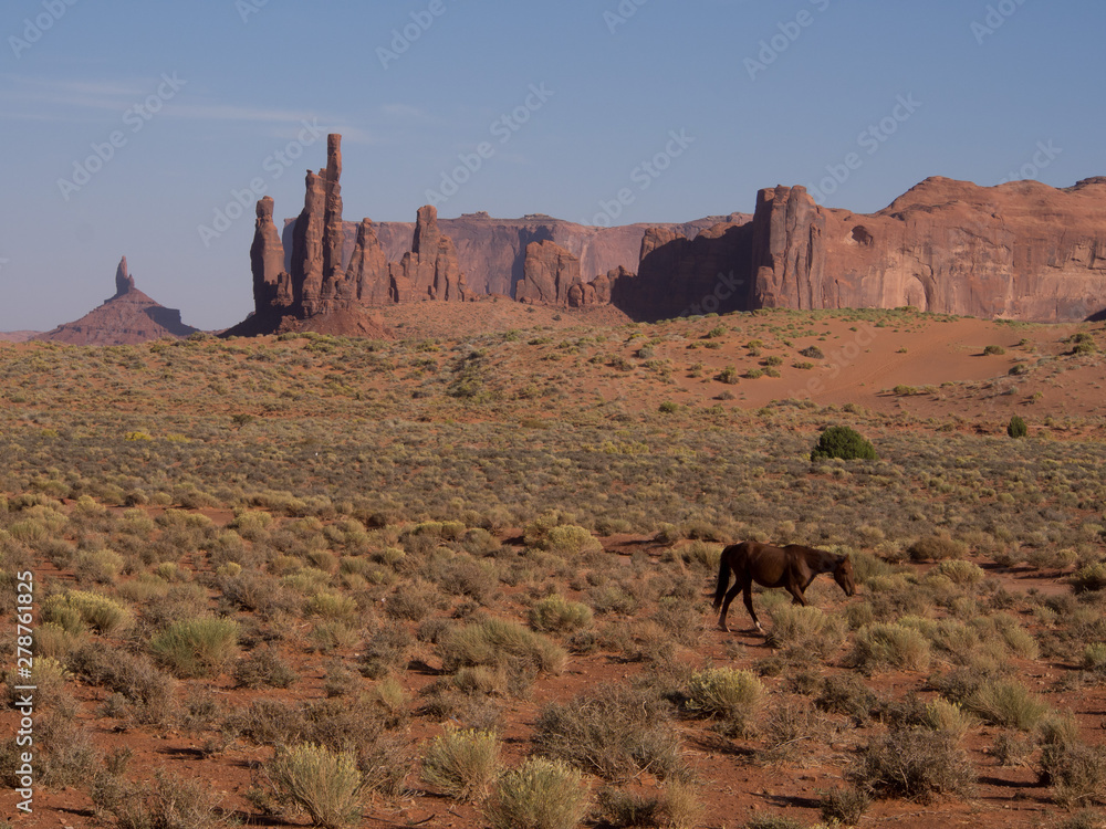horse in monument valley of fire 