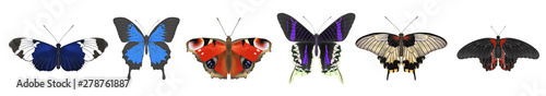 Set of butterflies. Vector illustration. EPS 10