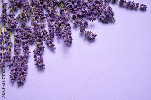 Lavender flowers bouquet on purple background. Copy space, top view. Summer background
