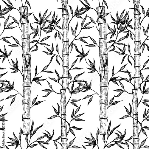 Fototapeta Naklejka Na Ścianę i Meble -  Seamless pattern with bamboo. Vector illustration. 