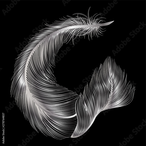 Feather isolated on white.Vector illustration. EPS 10.