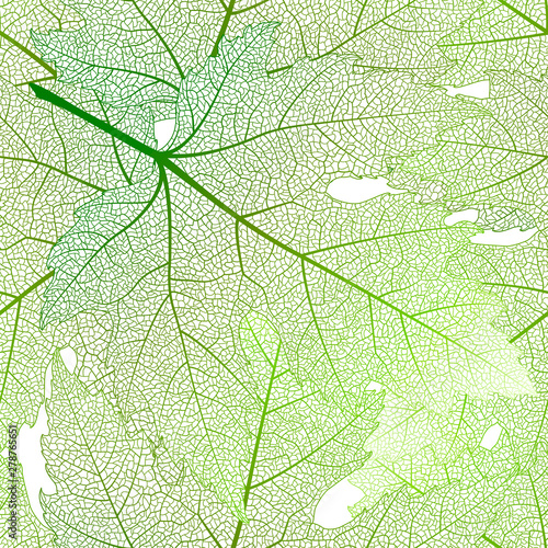 Seamless pattern with green maple leaves . Vector, EPS 10.