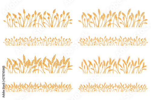Vector silhouette of wheat. Set. Wheat in a field on a white background photo