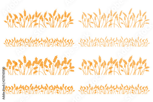 Vector silhouette of wheat. Set. Wheat in a field on a white background