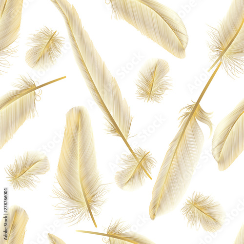 Seamless pattern with feathers. Vector illustration. EPS 10