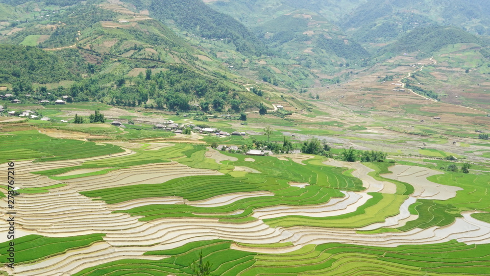 TU LE rice fields - MU CANG CHAI district - YEN BAI province - Viet Nam