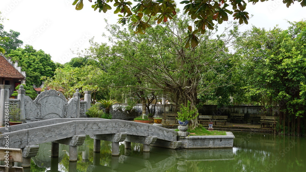 Fototapeta premium bonsai in DUNG TAN - SONG CONG city - THAI NGUYEN province - Vietnam