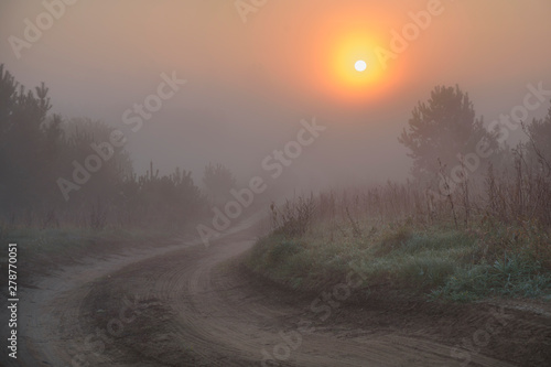 Road in the fog