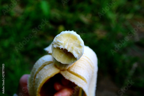 Banana, slightly bitten, in the hand of man on the background of nature
