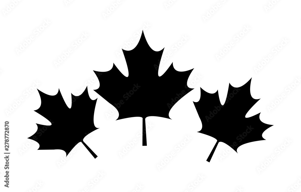 set of leafs maple canada set of leafs maple canada