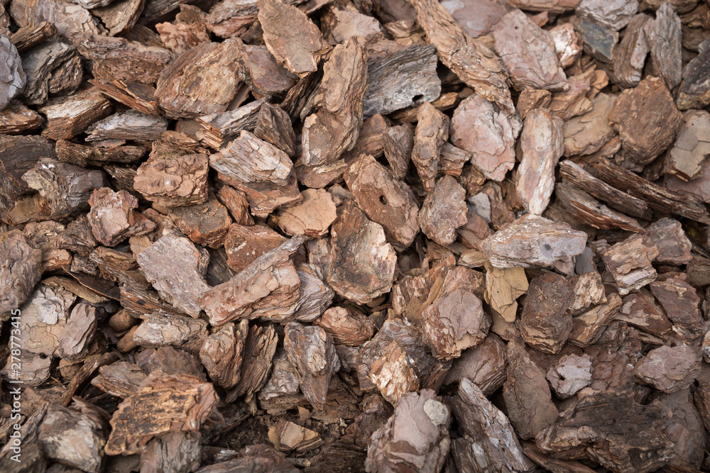 Brown wood shavings, wood chips background. Closedup. Brown wood shavings, wood chips background. Closedup.