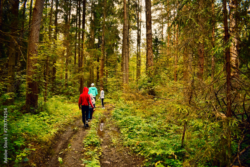 Travelers go in the green forest on footpath on summer.