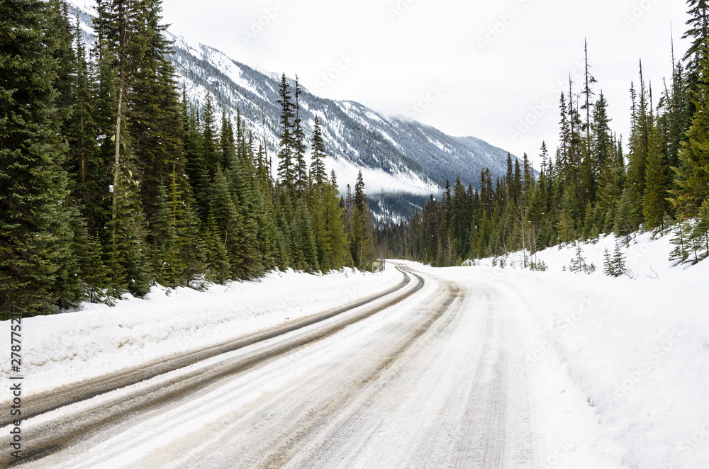 Road through a snowy forest in the mountains on a cloudy winter day. British Columbia, Canada. Road through a snowy forest in the mountains on a cloudy winter day. British Columbia, Canada.