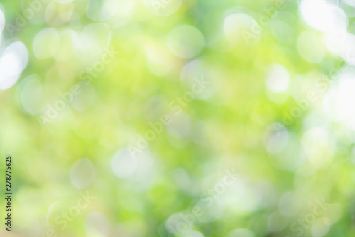 Abstract circle green natural bokeh background, ecology, energy concept. For edit poster, web, banner.