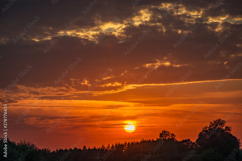 Fototapeta premium The setting sun behind trees and dark clouds