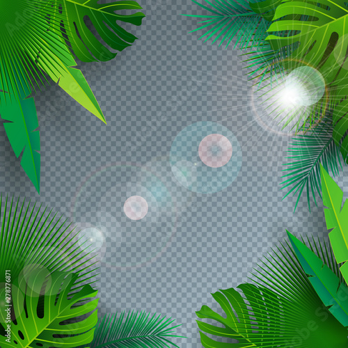 Vector Summer Illustration with Tropical Palm Leaves on Transparent Background. Exotic Plants and Sunlight for Holiday Banner, Flyer, Invitation, Brochure, Party Poster or Greeting Card. photo