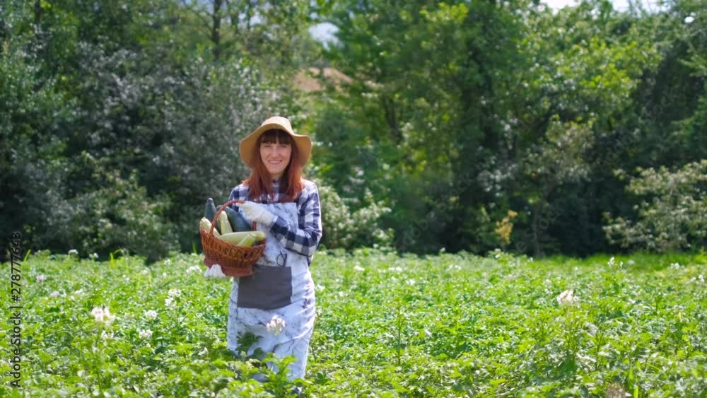 Portrait of a girl harvesting fresh pumpkin on organic plantation. Portrait of a girl harvesting fresh pumpkin on organic plantation.