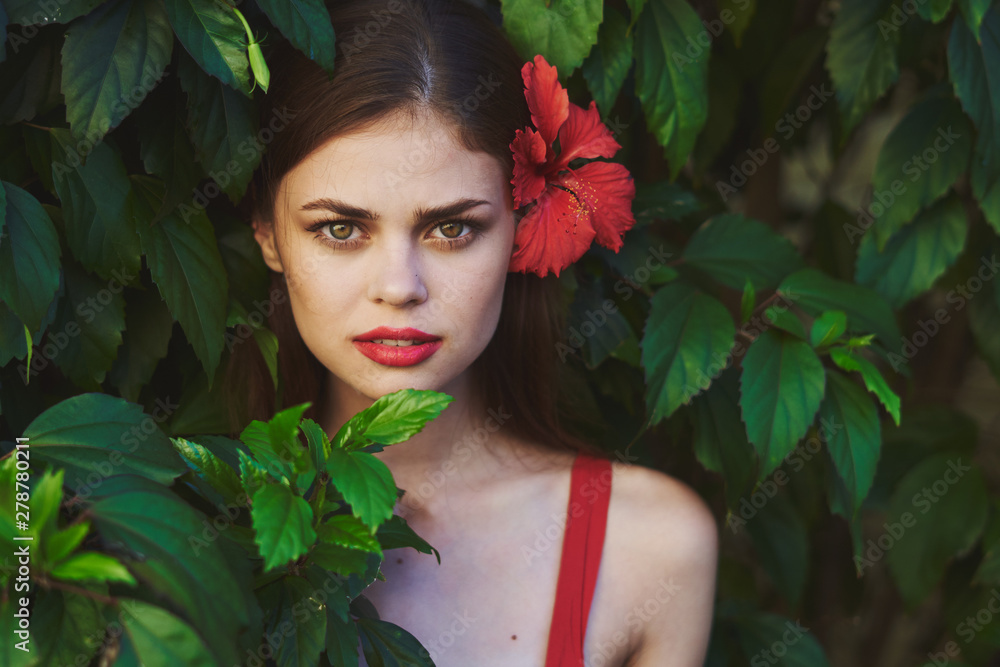 beautiful woman on green leaves park nature beautiful woman on green leaves park nature