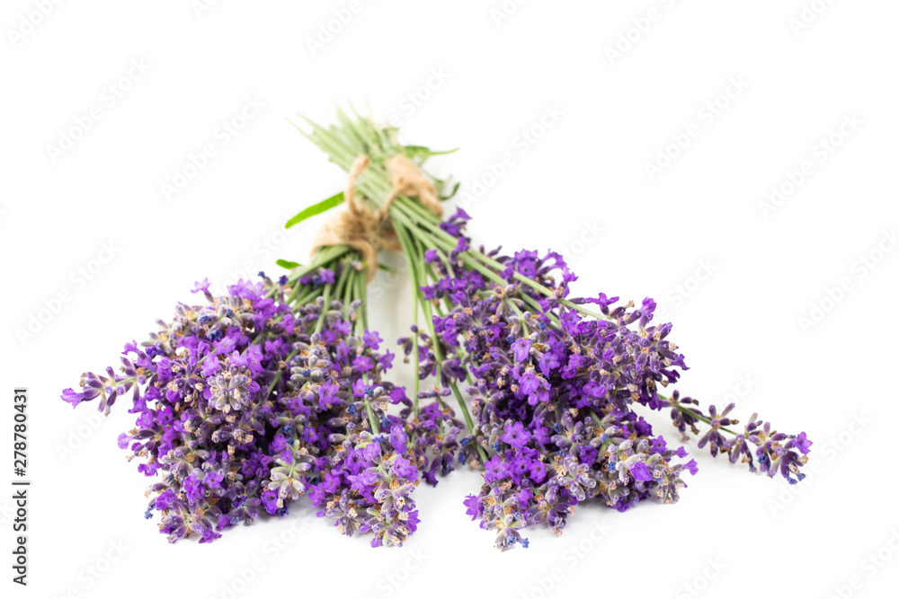 Bouquets of lavender on a white isolated background. Medicinal plants. Bouquets of lavender on a white isolated background. Medicinal plants.