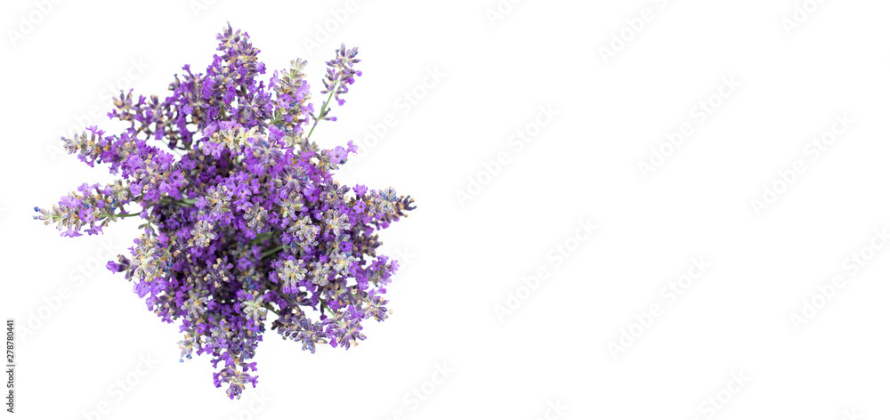 Bouquet of lavender on a white isolated background. Medicinal plants. View from above. Bouquet of lavender on a white isolated background. Medicinal plants. View from above.