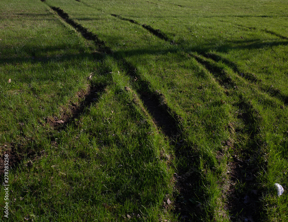 Tire Tracks in Grass Tire Tracks in Grass