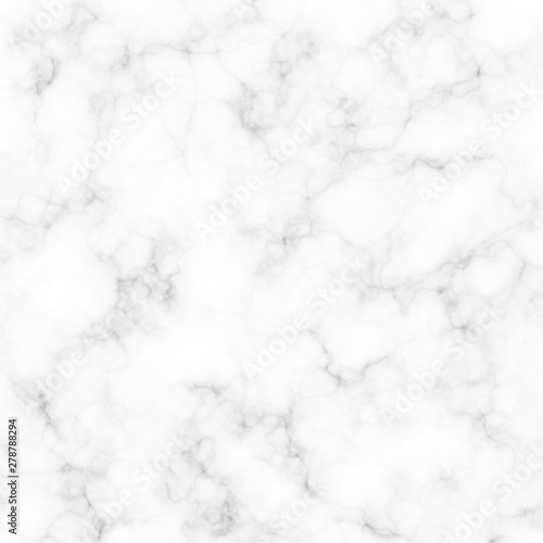 abstract gray color marble granite flooring background.tracery elegant line seamless backdrop flooring. 
