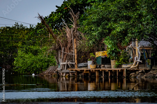 Mangrove swamp of Cartagena de Indias  Colombia