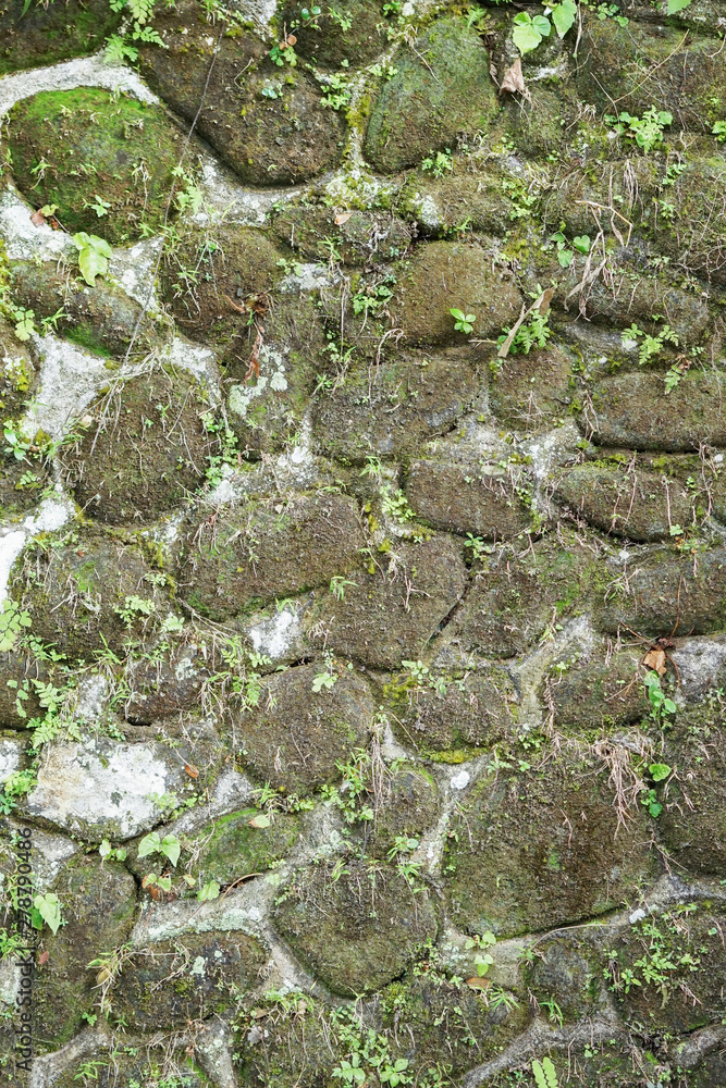 Abstract background of stone wall texture with green moss