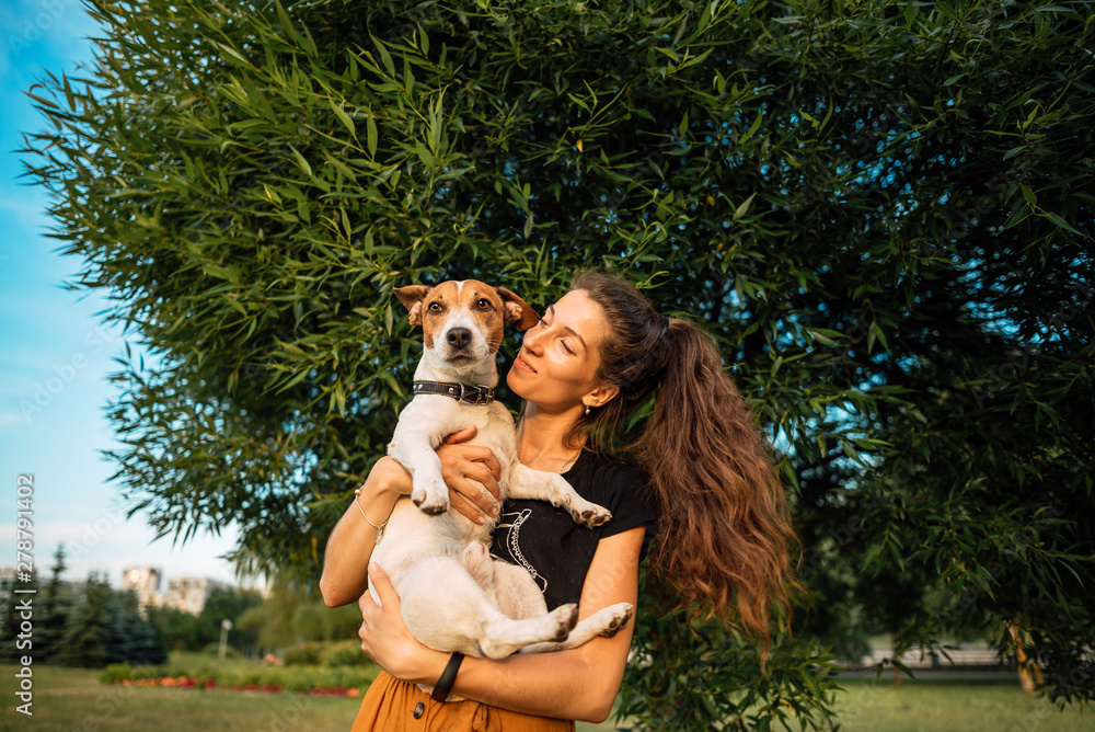 Obraz premium girl with dog play. person and pet together. little Jack Russell Terrier