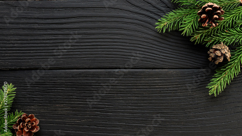 Christmas Fir tree branches...