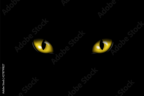 Realistic illustration of yellow feline eyes or cat eye, isolated on black background, vector