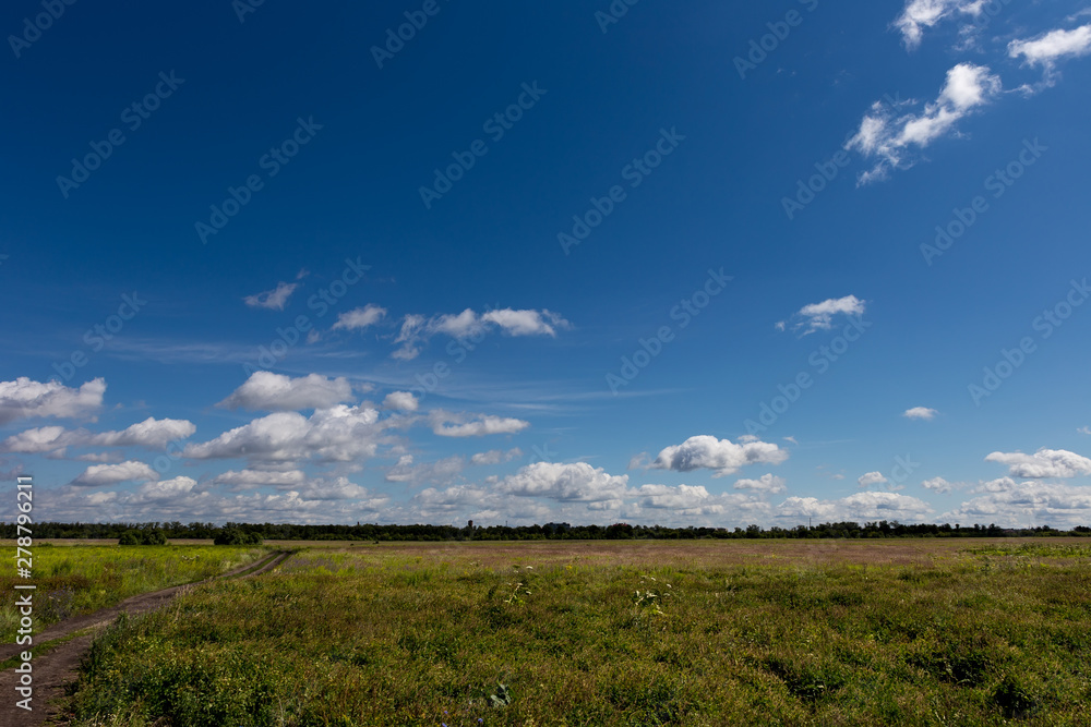 Blue sky with beautiful cumulus clouds over a wild field. Sky pattern. Blue sky with beautiful cumulus clouds over a wild field. Sky pattern.